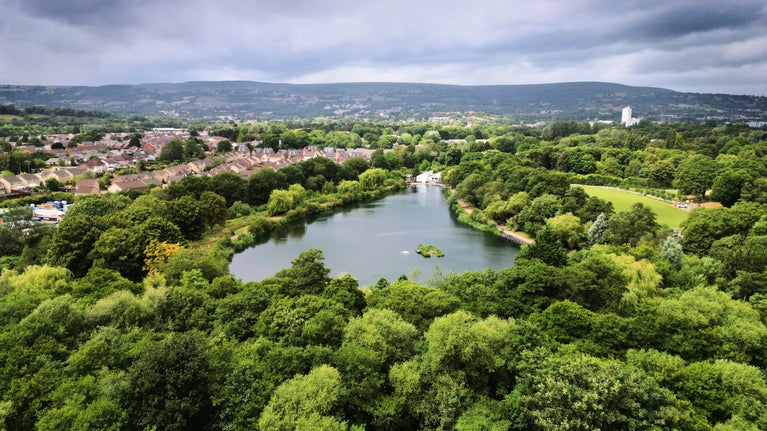 Cwmbran Boating Lake in Torfaen, Wales, surrounded by trees, with residential houses to one side.